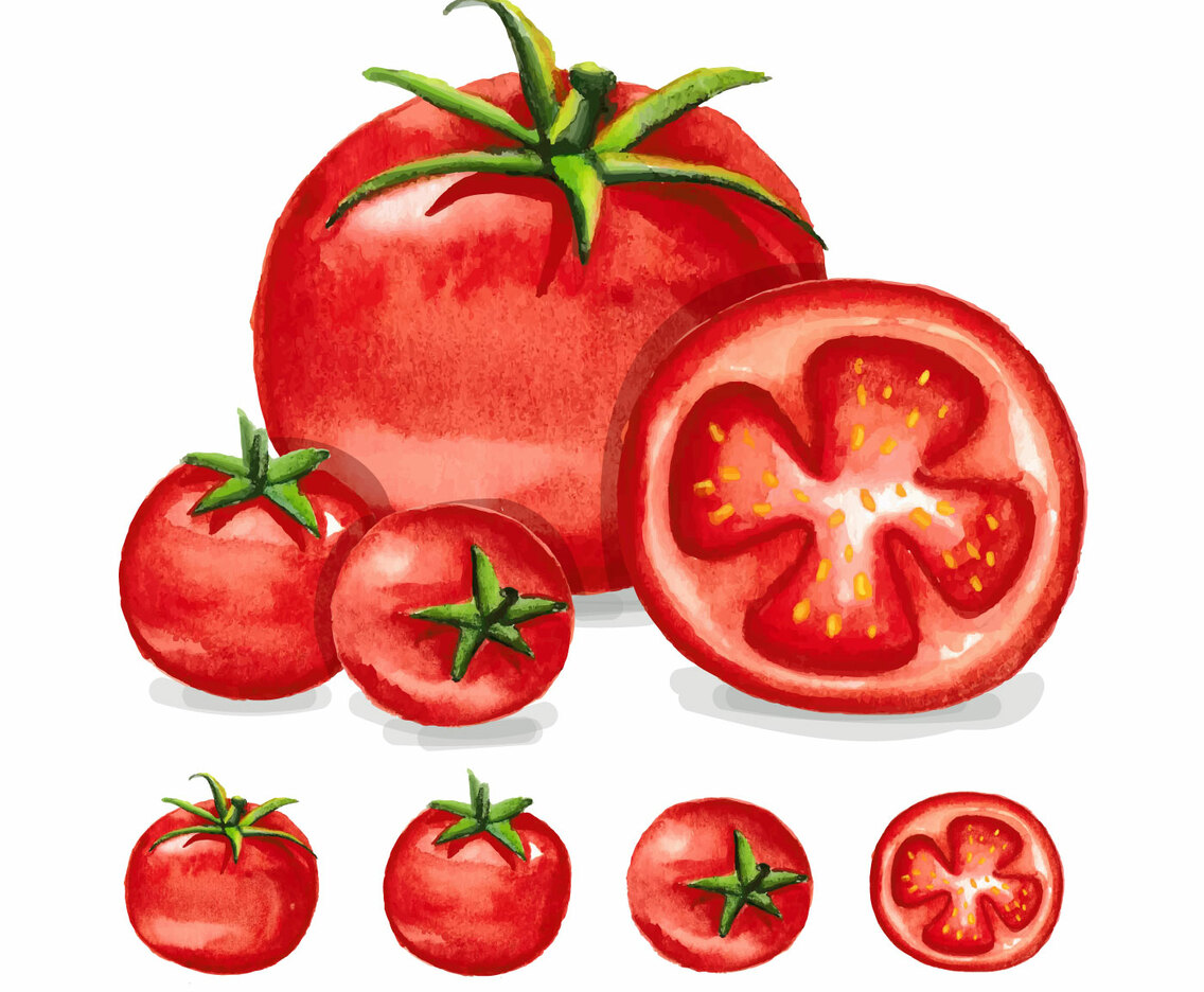 Tomatoes Watercolor
