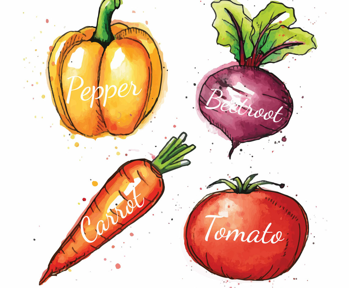 Vegetables Watercolor Illustration