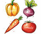 Vegetables Watercolor Illustration