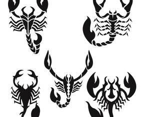 Scorpion Tattoo