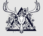 Deer Skull