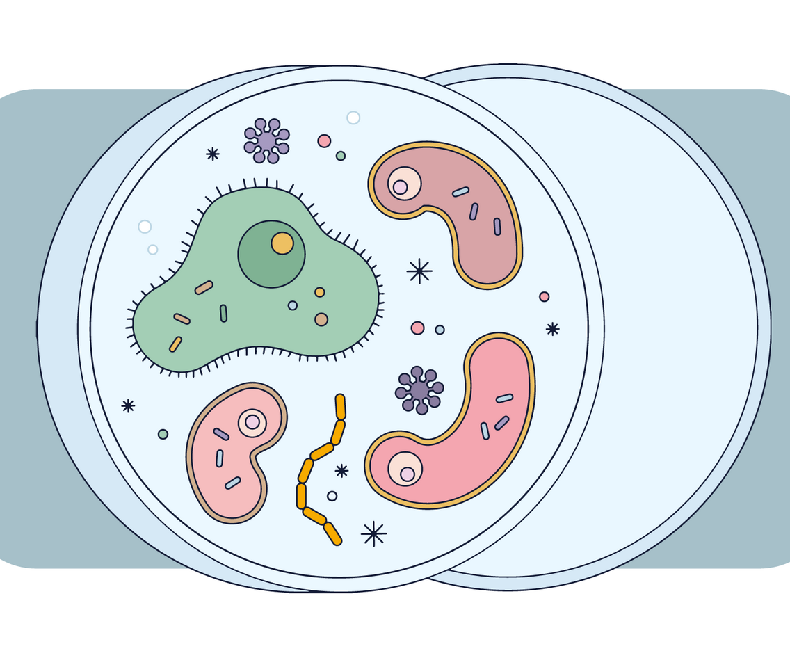 Microorganisms Vector