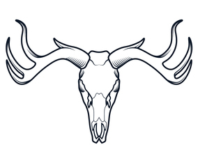 Deer Skull Line Vector
