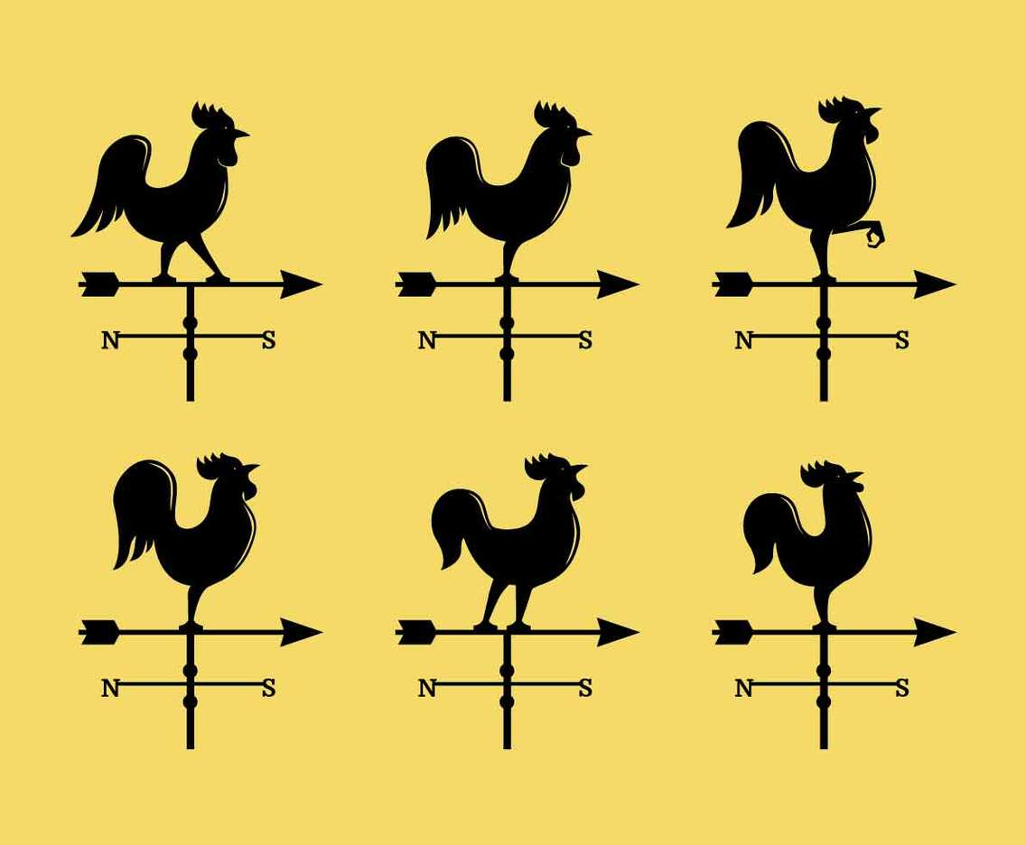 Weather Vane Collection Vector