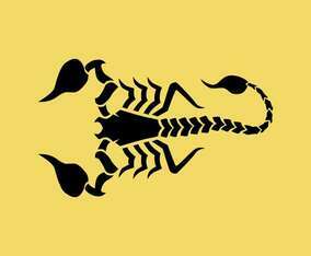 Scorpion Tattoo Vector