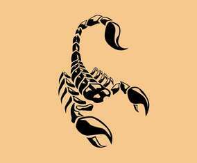 Scorpion Tattoo Vector