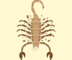 Scorpion Tattoo Vector