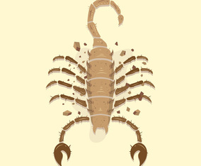 Scorpion Tattoo Vector