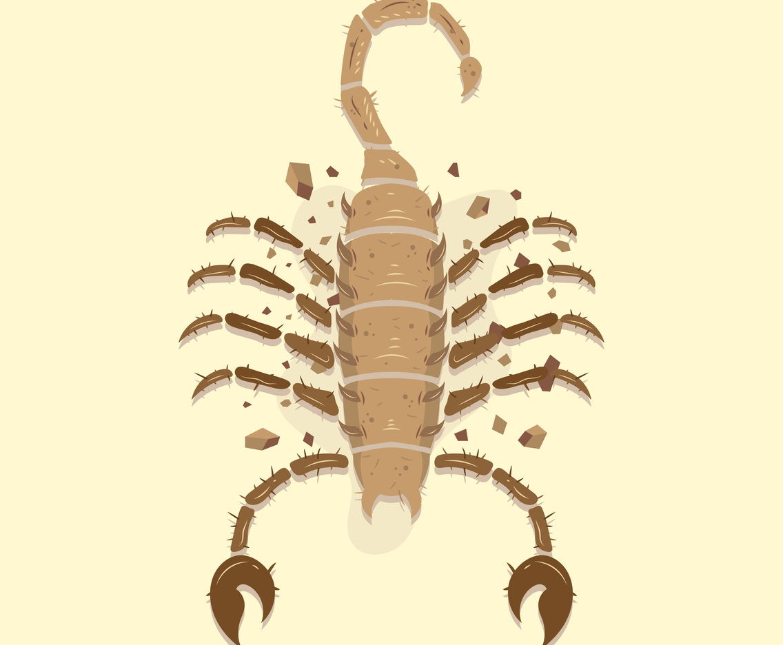 Scorpion Tattoo Vector