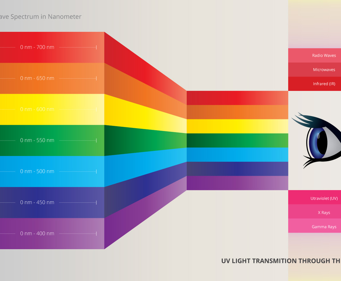 Visible Light Through The Eyes. Visible Color.