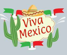 Viva Mexico Illustration Vector
