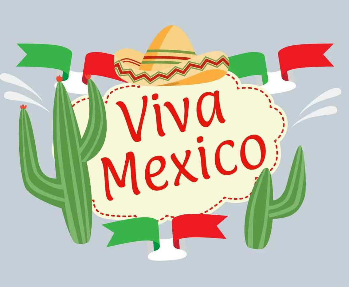 Viva Mexico Illustration Vector