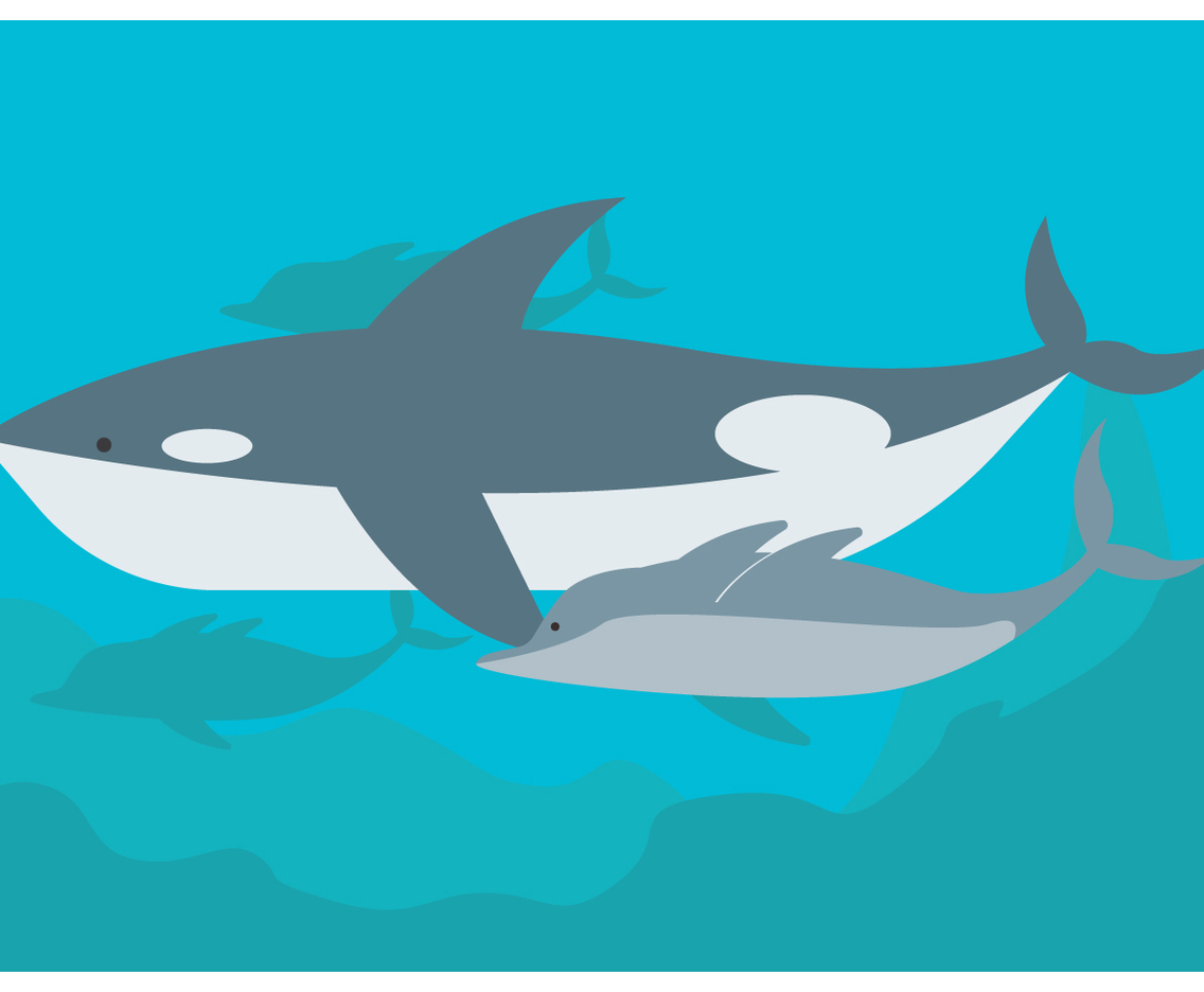 The Whale And Dolphins Vector