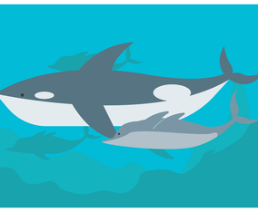 The Whale And Dolphins Vector