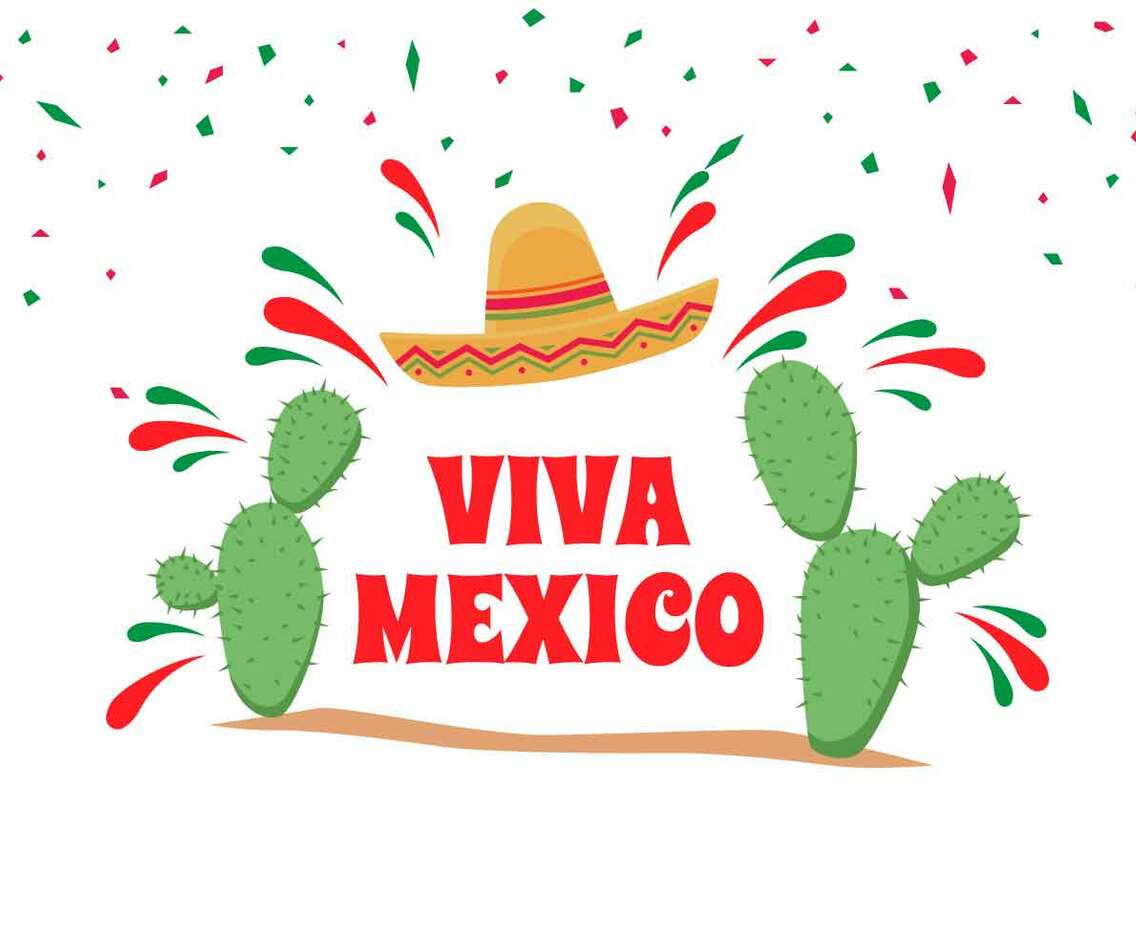 Viva Mexico Illustration Vector