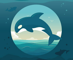 Killer Whales