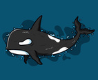 Killer Whales Vector