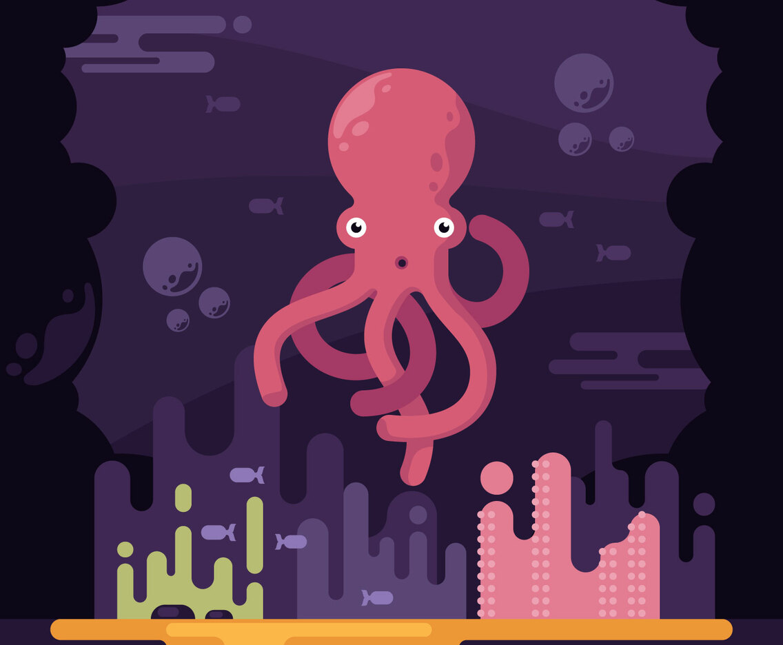 Octopus