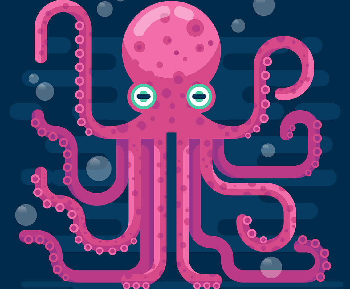 Octopus Illustration