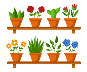 House Plant Vector