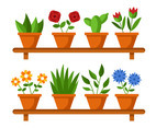 House Plant Vector