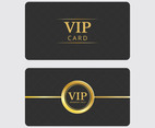 VIP Pass Access Vector