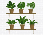 Potted Plants