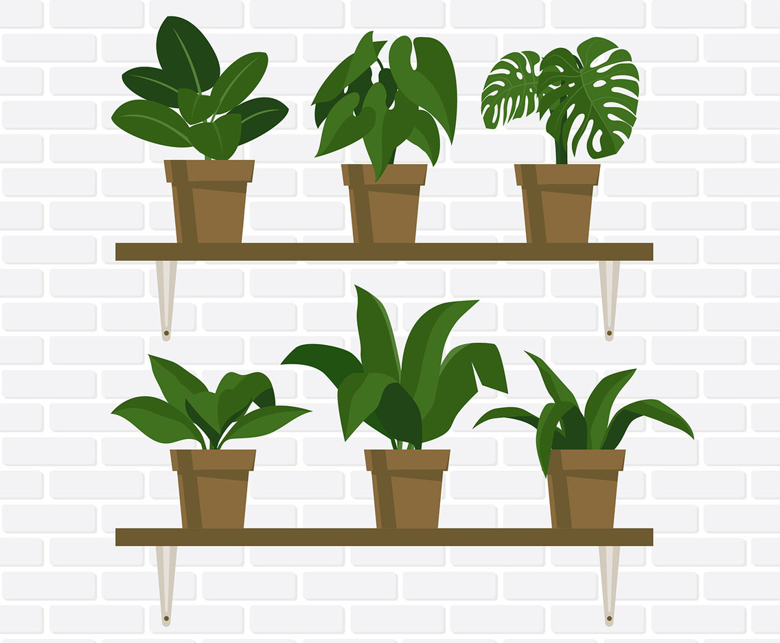 Potted Plants