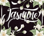 Jasmine Background