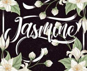 Jasmine Background