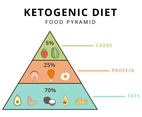 Ketogenic Diet Food Pyramid Vector Illustrator