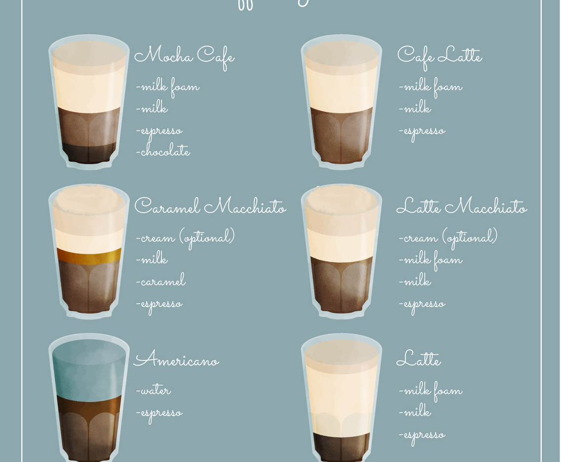Vector Coffee Guide Illustration