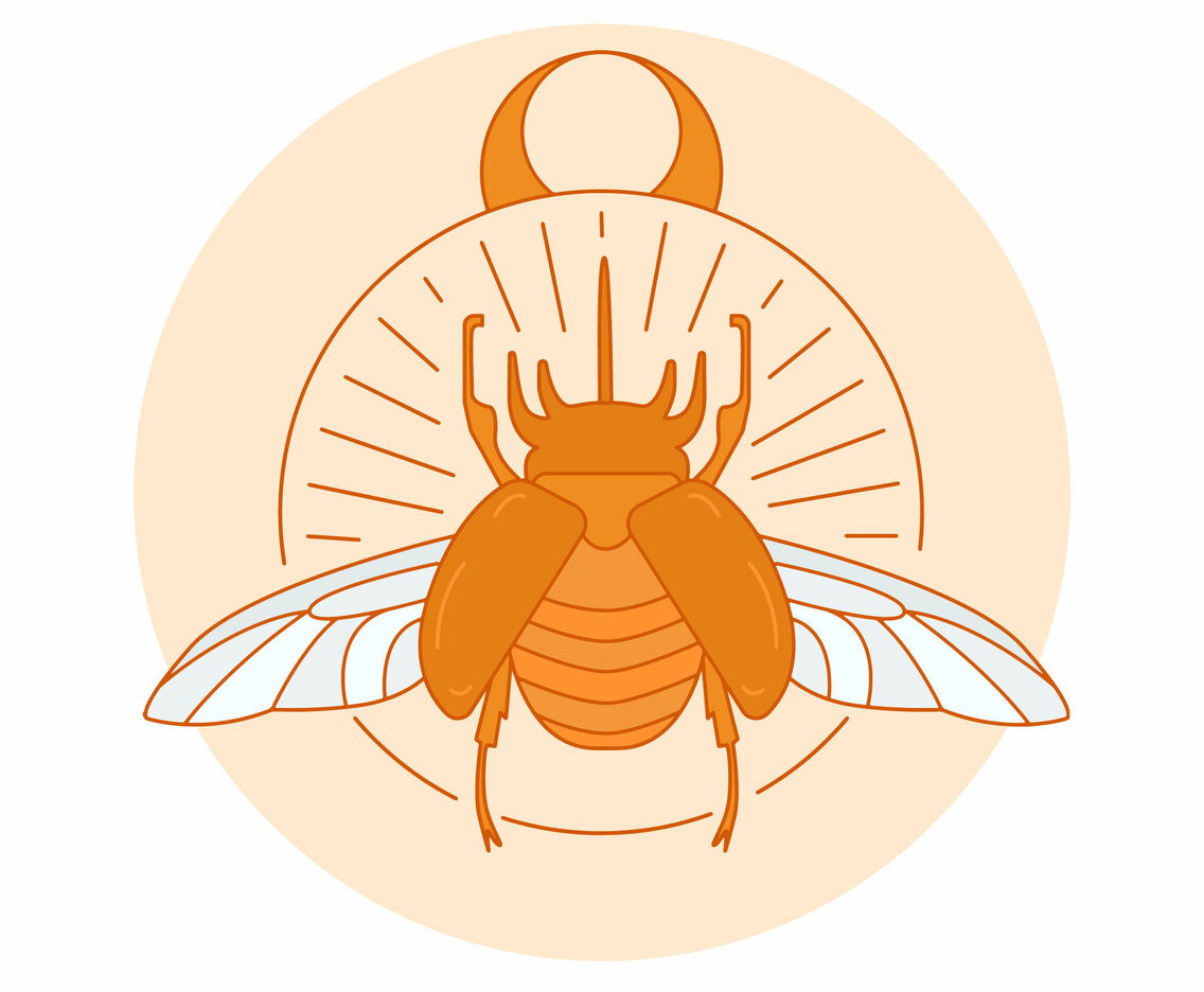 Beetle Vector