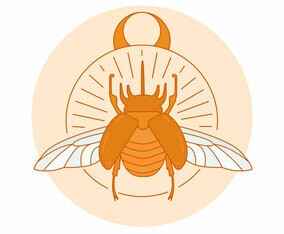 Beetle Vector