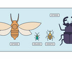 Entomology Vector