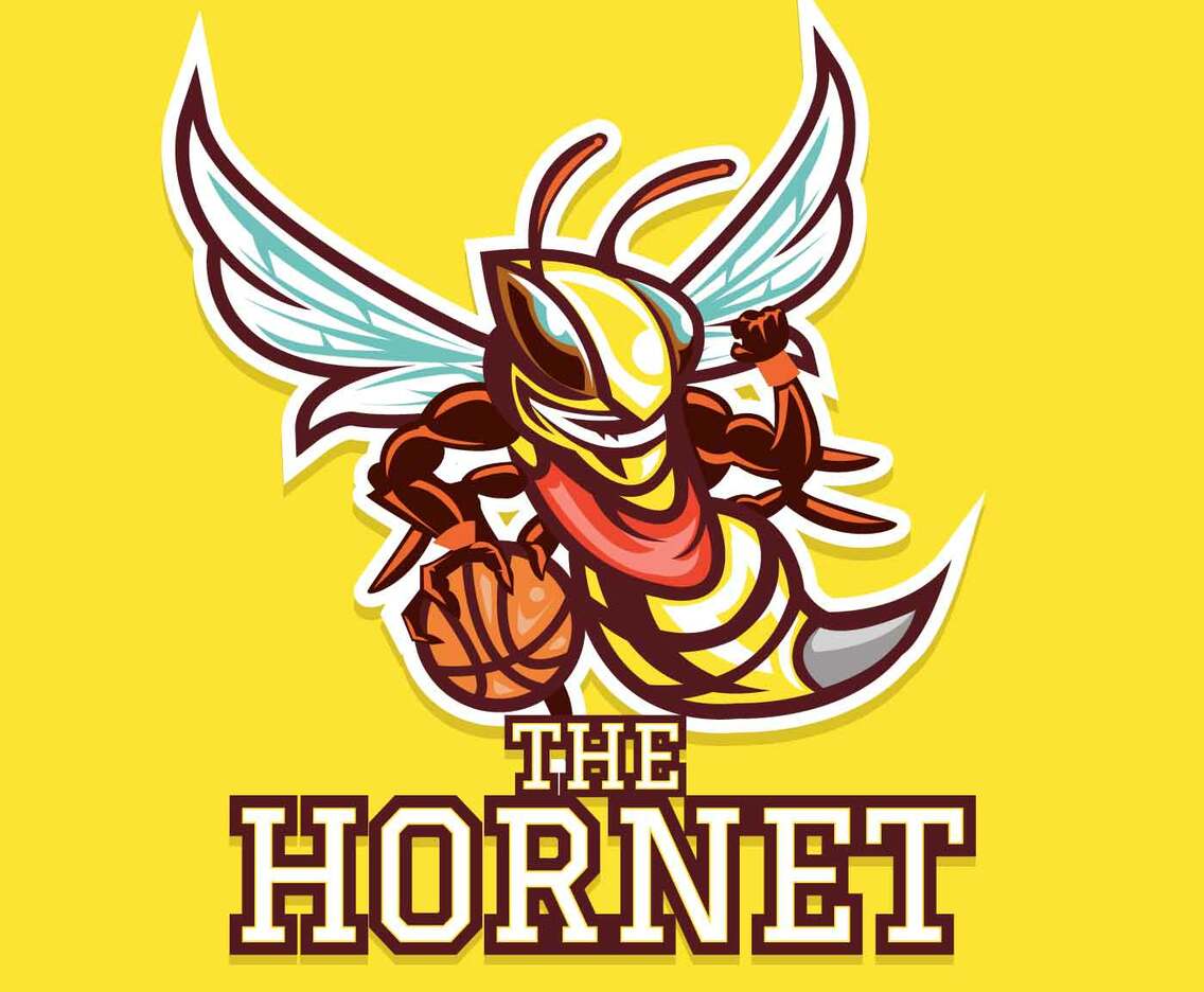 Insect Mascot