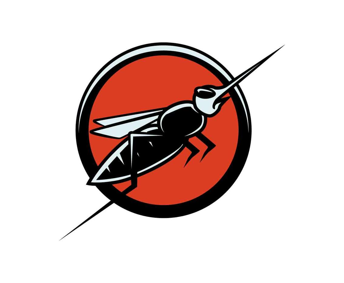 Insect Mascot Illustration Vector