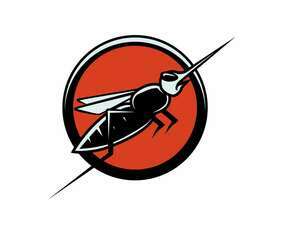 Insect Mascot Illustration Vector