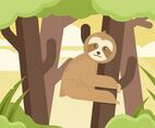 Sloth Vector