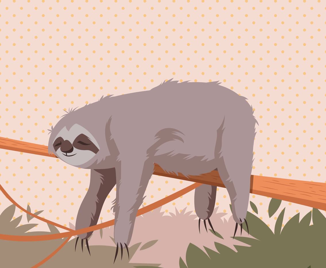 Sleeping Sloth