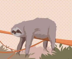 Sleeping Sloth