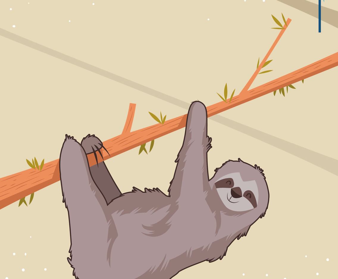 Cute Sloth