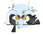 Toucan Vector
