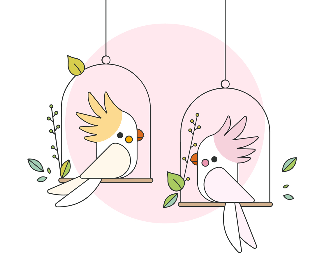 Cockatoo Vector