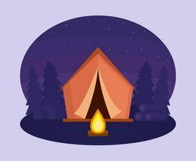 Night Camping Vector
