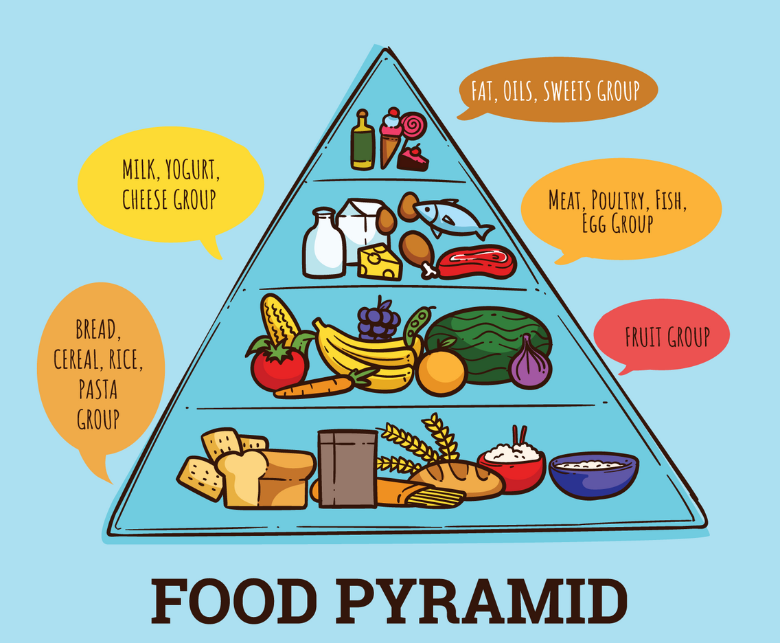 Food Pyramids