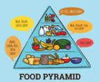 Food Pyramids