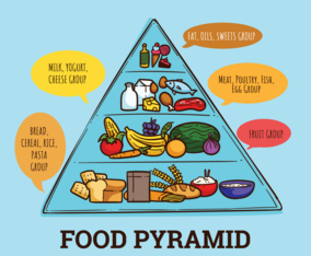 Food Pyramids