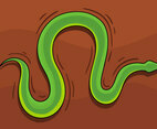 Green Snake