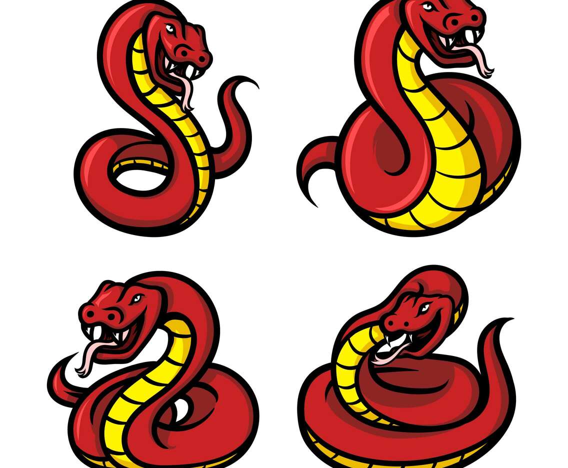 Snake Mascots